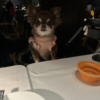 District Brasserie, Bar, Lounge - 
