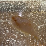 sushi処まんま天王寺 & HANARE - 