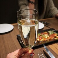 ダルマット 六本木ヒルズ店 - 