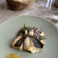 ジャヌ メルカート - 