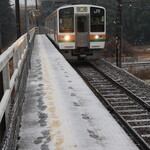 蕎麦 ひねもす - 無人の田切駅