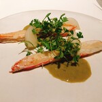 レストラン オオツ - 