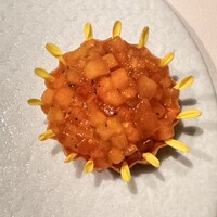 Plaiga TOKYO - 