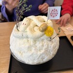 サカノウエカフェ - 