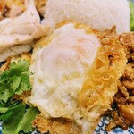 マンゴツリーキッチン　カオマンガイ - 