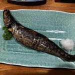 大衆居酒屋魚さんこ - にしん