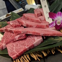 博多みやちく -  博多みやちく -