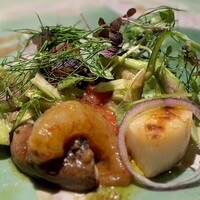 TOSAGE - 