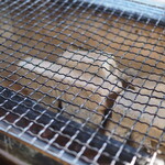 北のランプ亭 - 