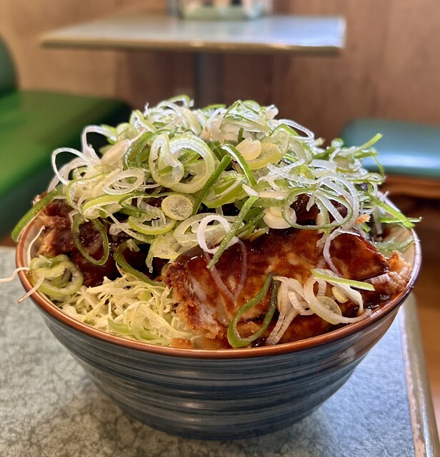 Yoshoku Tei Torayasu photo 2