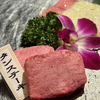 PONGA PREMIUM - 