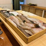 赤吉 - 本日のお魚