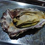 舞阪マルマ 幸福丸 - 