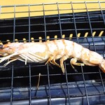 舞阪マルマ 幸福丸 - 