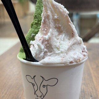 ジェラテリア ヴェリタ_1