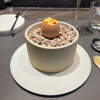 CIRPAS - 
