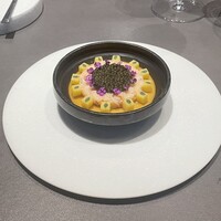 CIRPAS - 