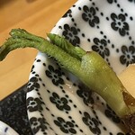 焼きもの家 慶 - 緑のけむくは山うどってイメージだけど、普通のウドも自然にはこう言う感じなのかも？てか、タラの芽のように見えなくも無い…