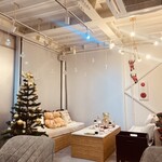 ホワイトステラ - 