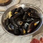 XIRINGUITO Escriba OSAKA - 