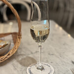 XIRINGUITO Escriba OSAKA - 