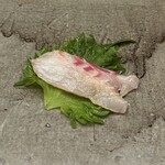 ガンツウ - ２日目夜は鮨　ランチの鮨も可