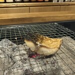 いろりまほろば - 