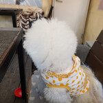 リストランテ ピッツェリア ジャンカルロ トウキョウ - 人間より３０秒は早く察知