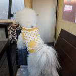 リストランテ ピッツェリア ジャンカルロ トウキョウ - 立ち上がって〜お出迎え〜♬