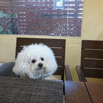 リストランテ ピッツェリア ジャンカルロ トウキョウ - 次回はバースデーよ〜♬