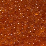 海味 はちきょう 本店 - 