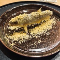 感情 - 