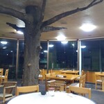 カフェはたち - 