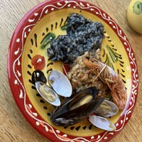 anchoa - 