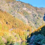 森の中のお肉レストラン アースガーデン - 