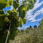 Hanabi Japanese Kitchen - 