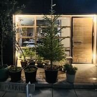 セルサルサーレ - 