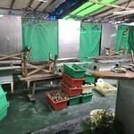 とれたて漁師の店 稲荷丸 - 