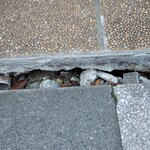 味な宿 宝仙閣 - 