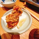 橙 - 2024/11  厳選した国産若鶏のムネ肉