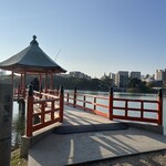 橙 - 2024/11  大濠公園