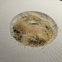 大阪鉄板焼き 神戸牛 TATARA - 
