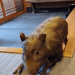 丹波篠山　近又 - 