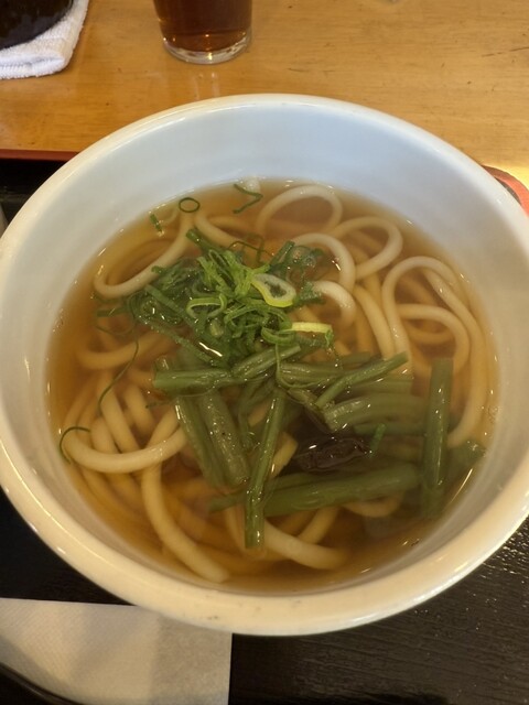 Osaka Udon Soba Tenma photo 2