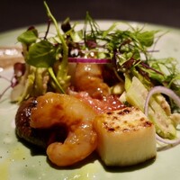 TOSAGE - 