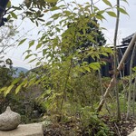 そば切り 來輪 - 