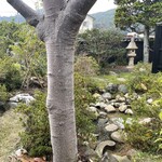 そば切り 來輪 - 