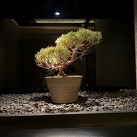 焼肉 銀座コバウ 特別室 - 