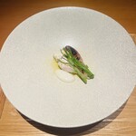 センティウ - ウスバハギ