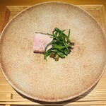 センティウ - 純粋サドルバック♥️